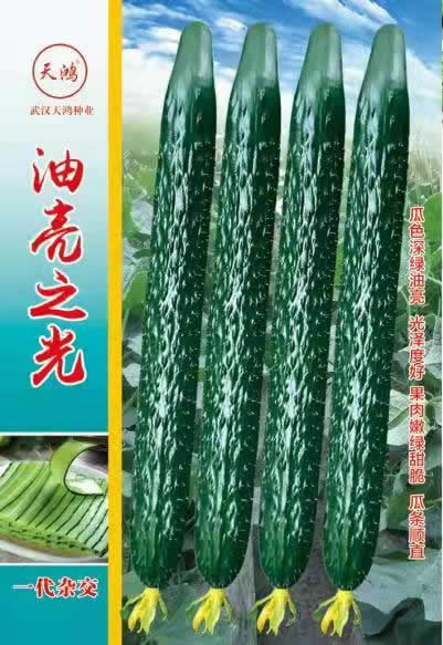迹U֧